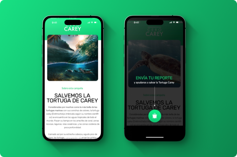 HAWKSBILL CONSERVATION APP